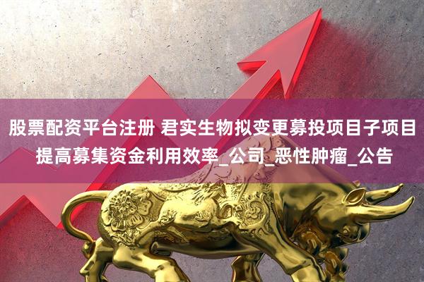 股票配资平台注册 君实生物拟变更募投项目子项目 提高募集资金利用效率_公司_恶性肿瘤_公告